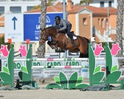stallion Contatour Jp (Estonian Sport, 2010, from Clinton)