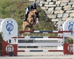 jumper Chadeur (Oldenburg show jumper, 2008, from Chacco-Blue)