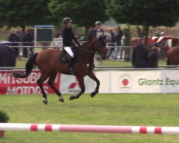 Reitturnier Dersekow 2025