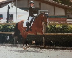 dressage horse Aron's Balou (German Riding Pony, 2009, from Aron)