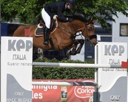 broodmare My Lady 177 (Holsteiner, 2011, from Mylord Carthago)
