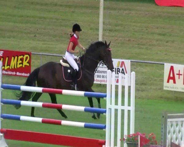 Sommerturnier Legelshurst 2014