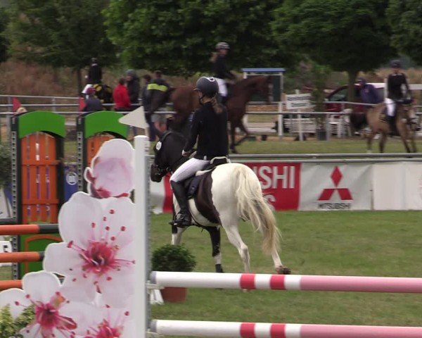 Reitturnier Dersekow 2025