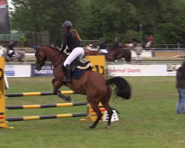 Reitturnier Dersekow 2025