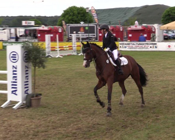Reitturnier Dersekow 2025