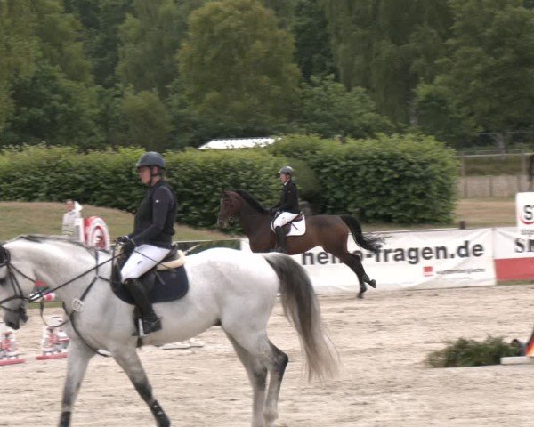 Reitturnier Westergellersen 2025