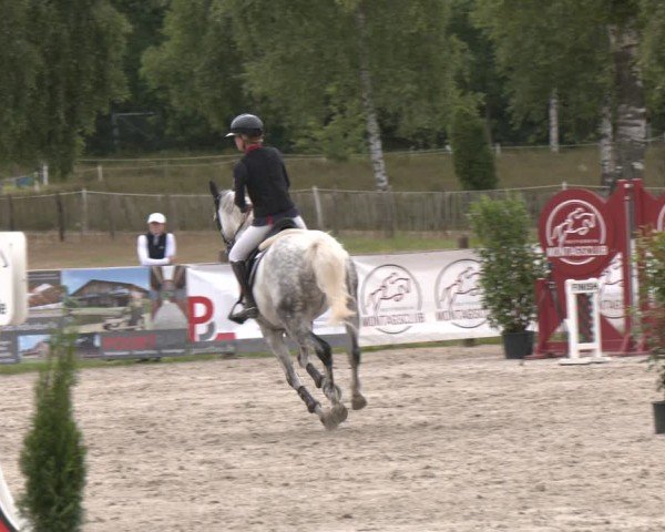 Reitturnier Westergellersen 2025