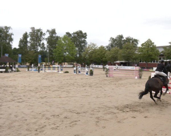 Reitturnier Münster-Roxel 2025