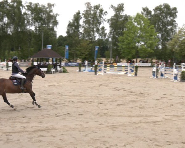 Reitturnier Münster-Roxel 2025
