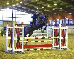 jumper Chackmate 3 (Oldenburg show jumper, 2018, from Chacfly PS)