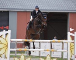 jumper Java (KWPN (Royal Dutch Sporthorse), 2014, from Etoulon VDL)