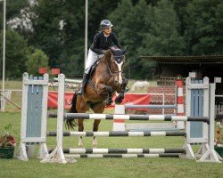 jumper Mr. Harms (Holsteiner, 2019, from Million Dollar)