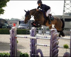 Springpferd Marble Arch (Belgisches Warmblut, 2018, von Gino-H)