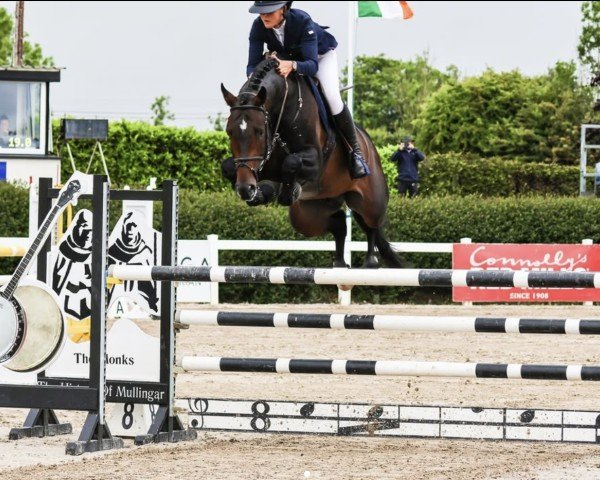 stallion Confidental (Holsteiner, 2019, from Conthargos)