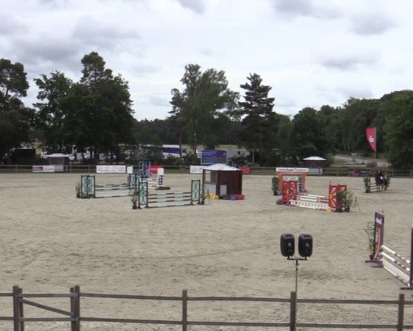 Reitturnier Westergellersen 2025