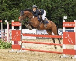 jumper Grande Piccoleeny (Hanoverian, 2018, from Grey Top)