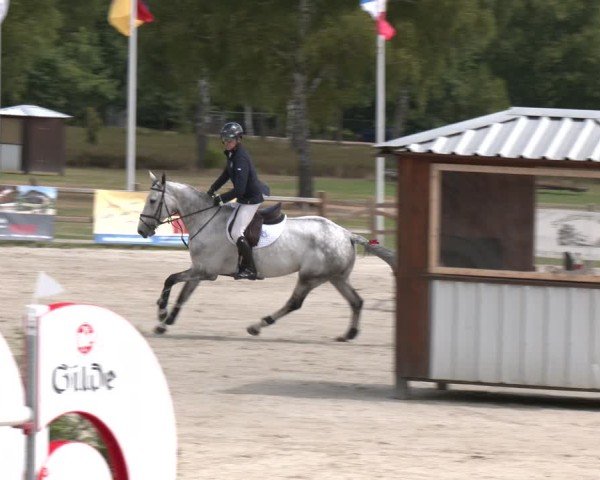 Reitturnier Westergellersen 2025