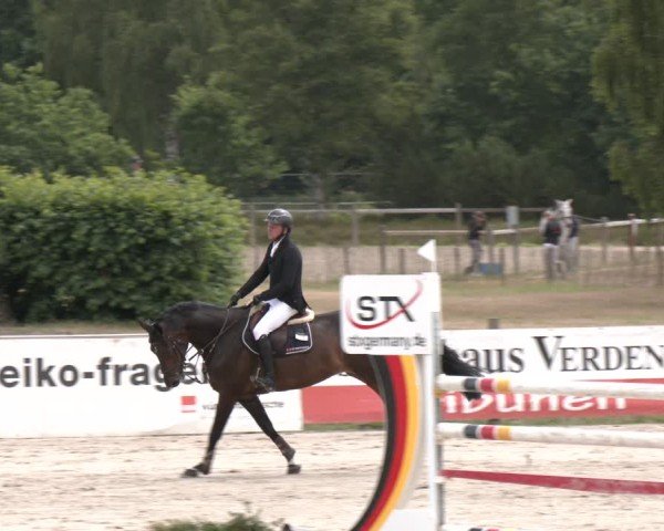 Reitturnier Westergellersen 2025