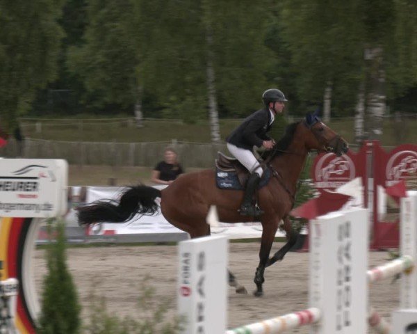 Reitturnier Westergellersen 2025