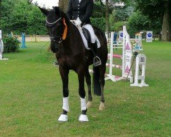 Dressurpferd Royal Bourdeaux (Westfale, 2021, von Rubin Royal OLD)
