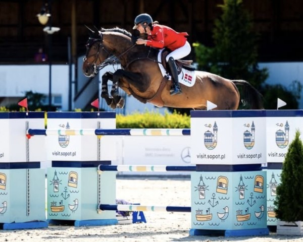 stallion Golden Eye (Hanoverian, 2012, from Goldfever 3)