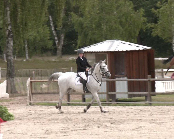 Reitturnier Westergellersen 2025