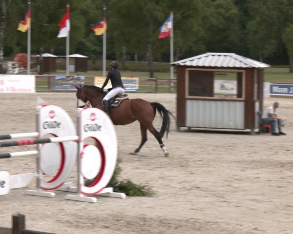 Reitturnier Westergellersen 2025