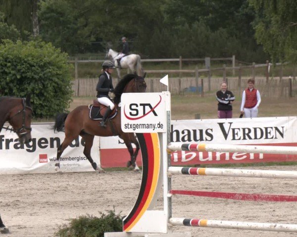 Reitturnier Westergellersen 2025