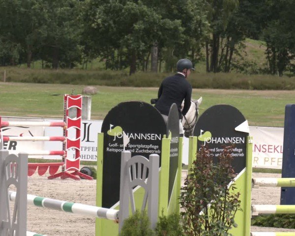 Reitturnier Westergellersen 2025