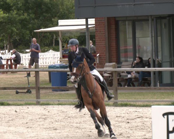 Reitturnier Westergellersen 2025