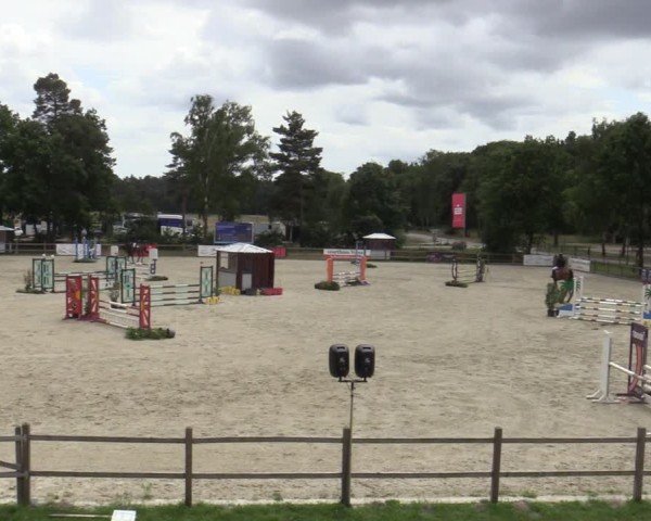 Reitturnier Westergellersen 2025