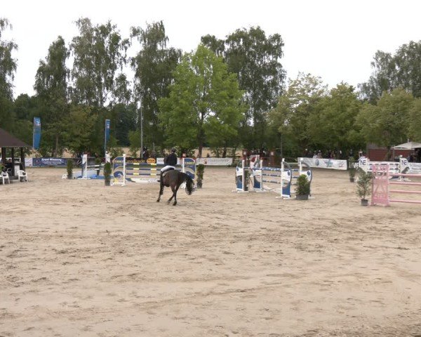 Reitturnier Münster-Roxel 2025