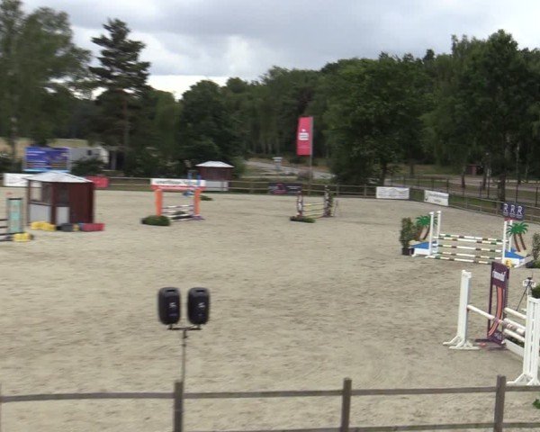 Reitturnier Westergellersen 2025