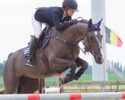 broodmare Jealous (Belgian Warmblood, 2009, from Echo van het Neerenbosch)