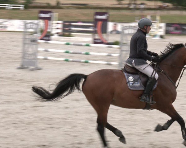 Reitturnier Westergellersen 2025