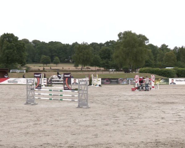 Reitturnier Westergellersen 2025