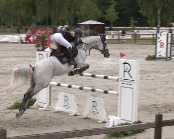 Reitturnier Westergellersen 2025