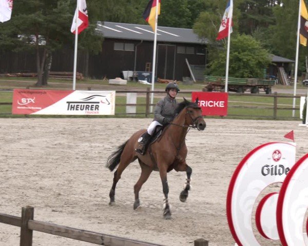 Reitturnier Westergellersen 2025