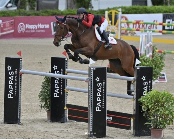 Springpferd Jendy S (Belgisches Warmblut, 2009, von Nabab de Rêve)