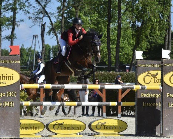 Springpferd Magics First Lady (Deutsches Reitpony, 2012, von Magic Cornflakes)