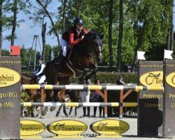 Springpferd Magics First Lady (Deutsches Reitpony, 2012, von Magic Cornflakes)