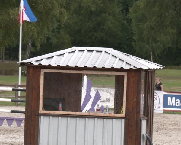 Reitturnier Westergellersen 2025