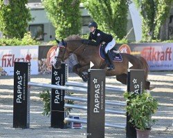 jumper Gamba-Zamba by Lux- Horses (Belgian Warmblood, 2012, from Deauville van T&L)