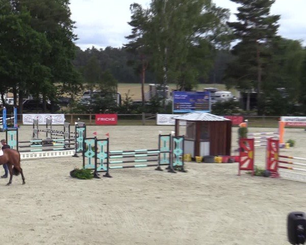 Reitturnier Westergellersen 2025