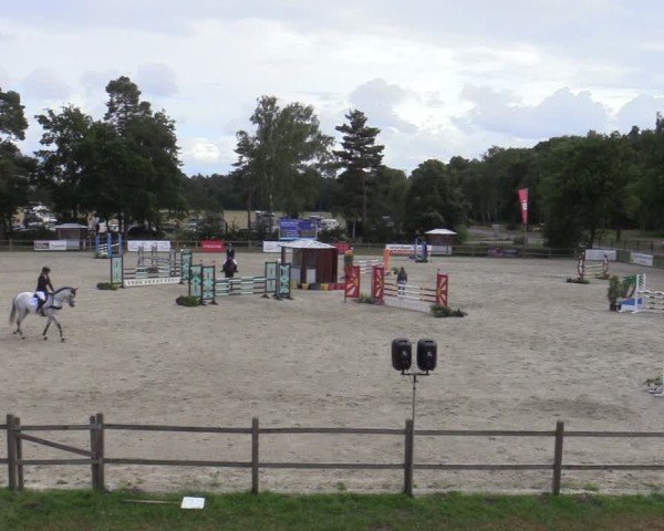 Reitturnier Westergellersen 2025