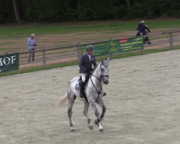 Reitturnier Westergellersen 2025