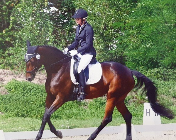 broodmare Tharau 10 (Trakehner, 2013, from Private Passion)