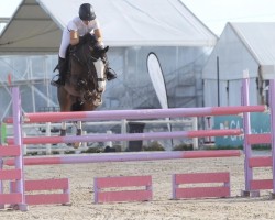 jumper Apart (KWPN (Royal Dutch Sporthorse), 2005, from Clooney)