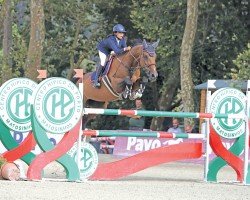 Springpferd Libelle Vh Wingerdhof Z (Zangersheide Reitpferd, 2011, von Lancaster V)