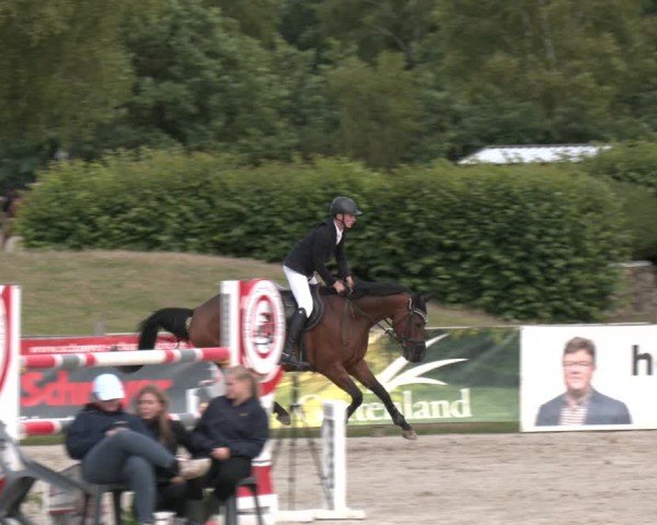 Reitturnier Westergellersen 2025